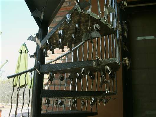 Click for large image