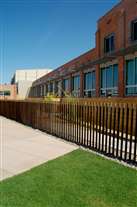 Click for large image