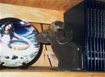 Click for large image