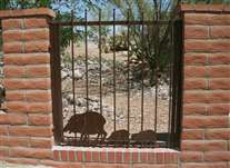 Click for large image